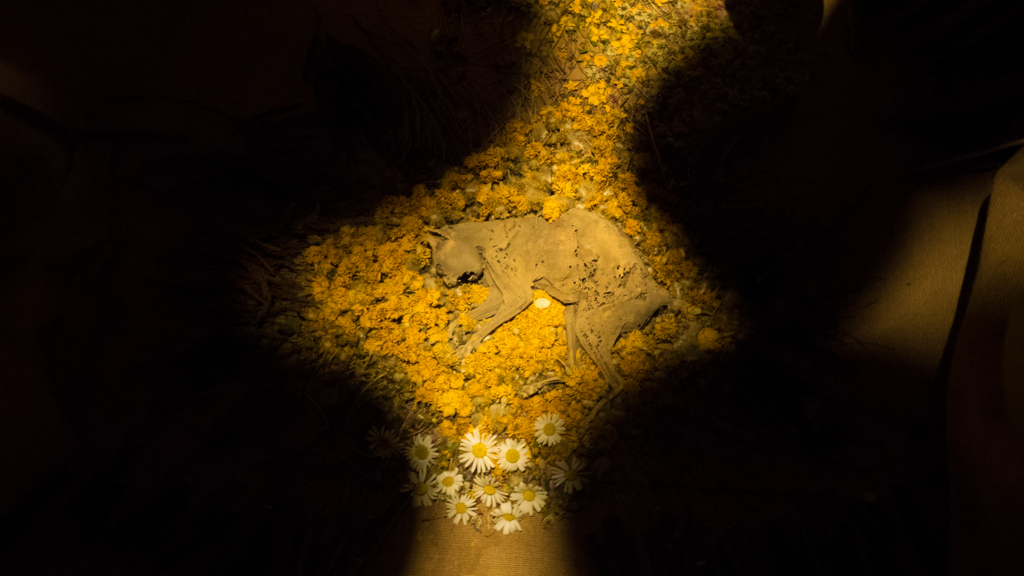 f:id:ottiee:20170610141213j:plain