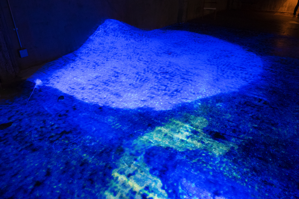 f:id:ottiee:20171105090528j:plain f:id:ottiee:20171105090528j:plain