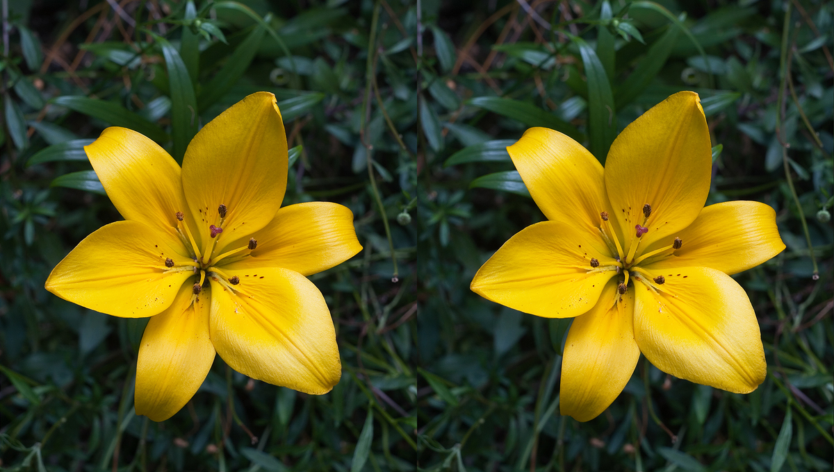 f:id:otto-M:20190617235939j:plain f:id:otto-M:20190617235939j:plain