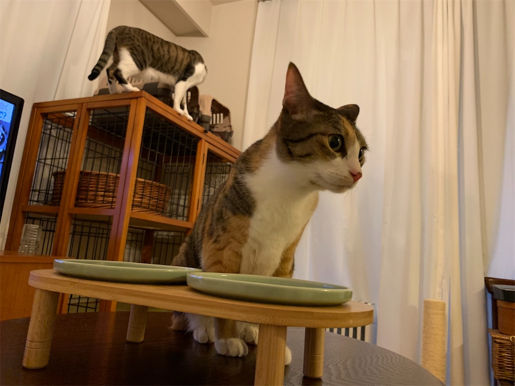 f:id:otto8tre:20200302220422j:image f:id:otto8tre:20200302220422j:image