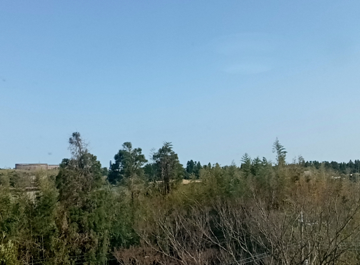 f:id:ottoseiouou:20200404210529j:plain f:id:ottoseiouou:20200404210529j:plain