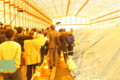 20100424132328