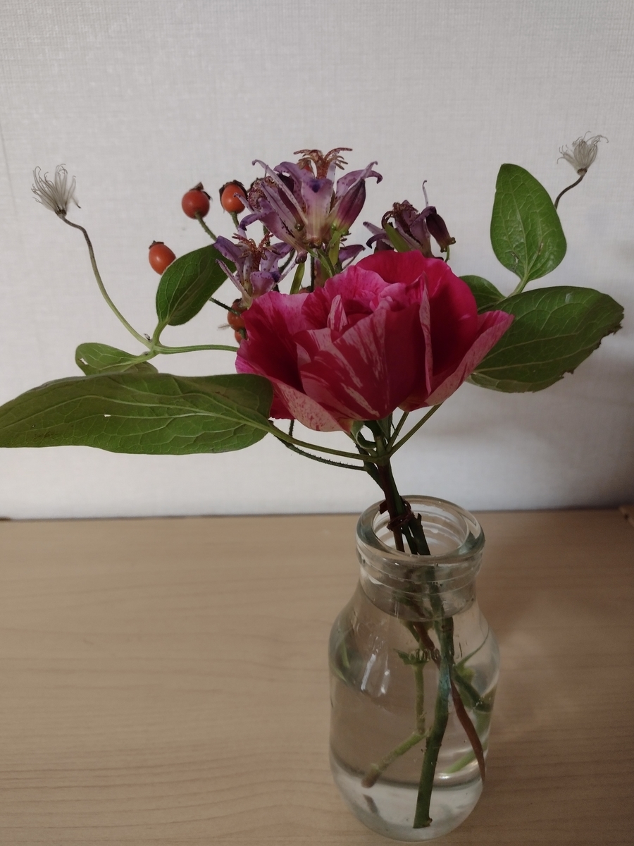 f:id:ottyanko3:20211031163122j:plain