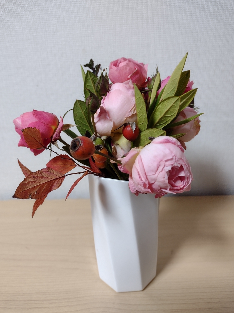 f:id:ottyanko3:20211226211743j:plain