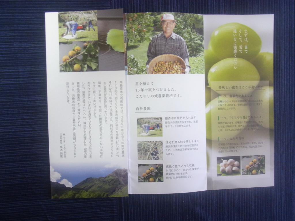 f:id:otukemono-kumiko:20161026181526j:plain