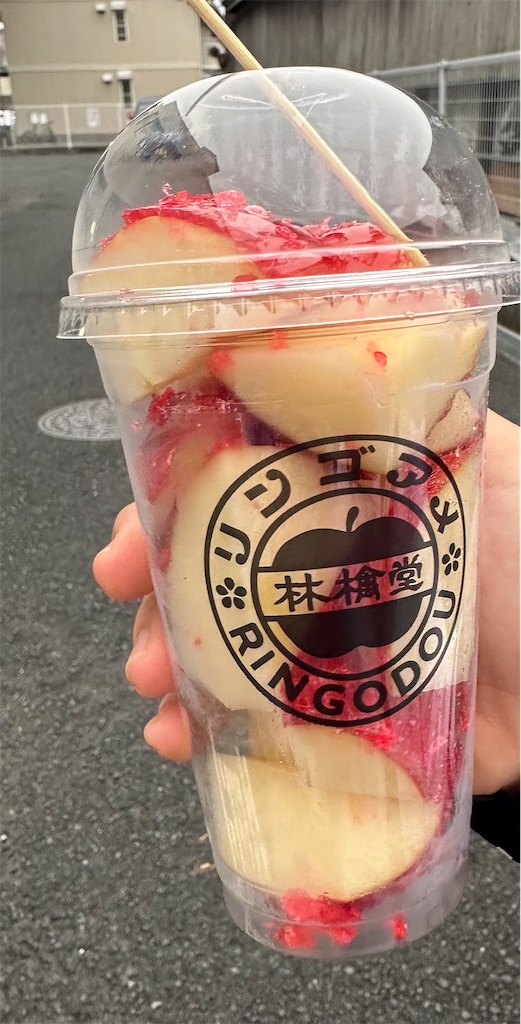 f:id:otumico45:20241018225307j:image