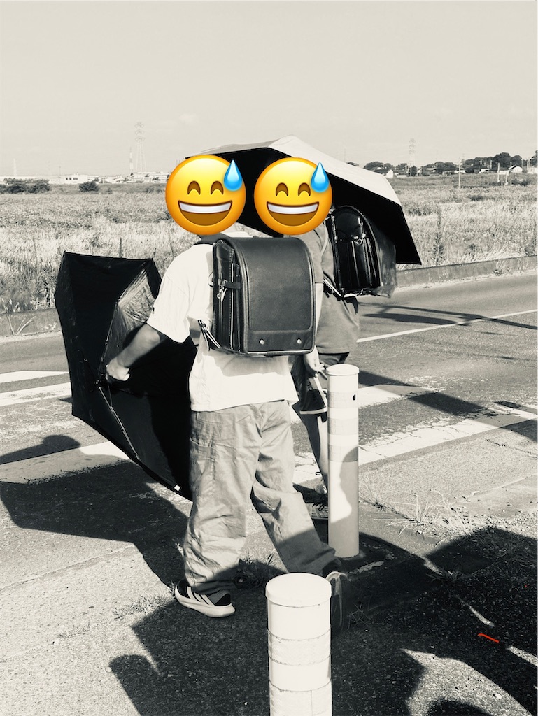 f:id:otumico45:20250830085138j:image f:id:otumico45:20250830085138j:image