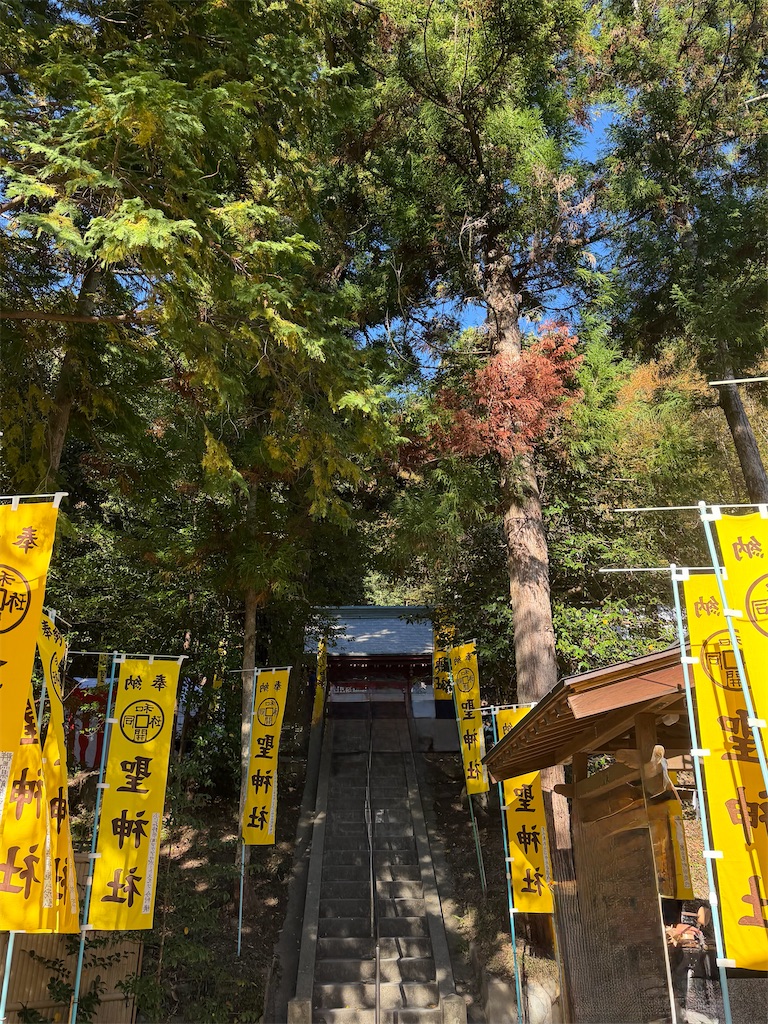 f:id:otumico45:20251106223938j:image f:id:otumico45:20251106223938j:image