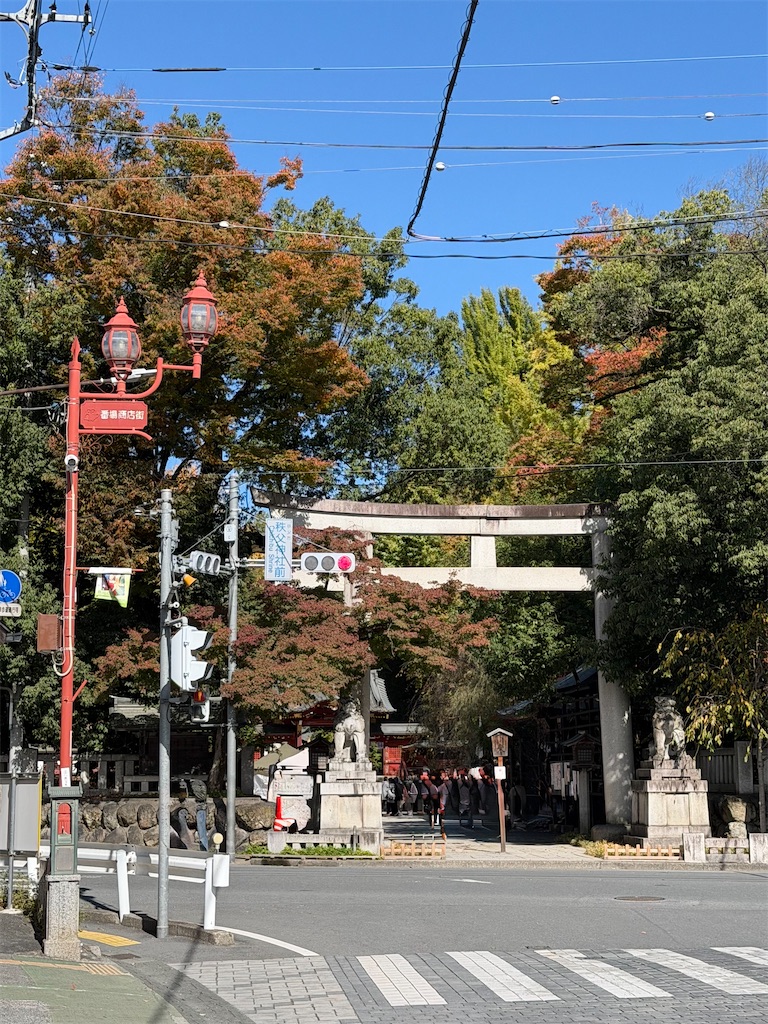 f:id:otumico45:20251106230930j:image f:id:otumico45:20251106230930j:image