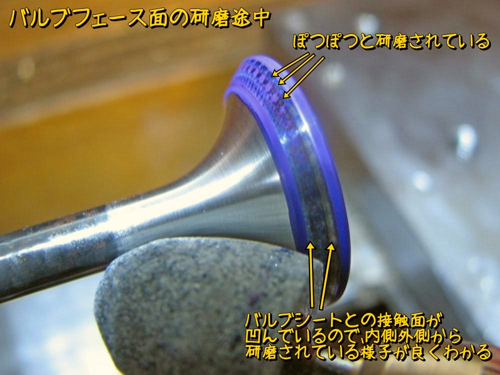 f:id:otypemako:20200213183848j:plain