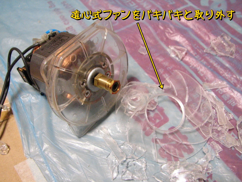 f:id:otypemako:20200214085531j:plain