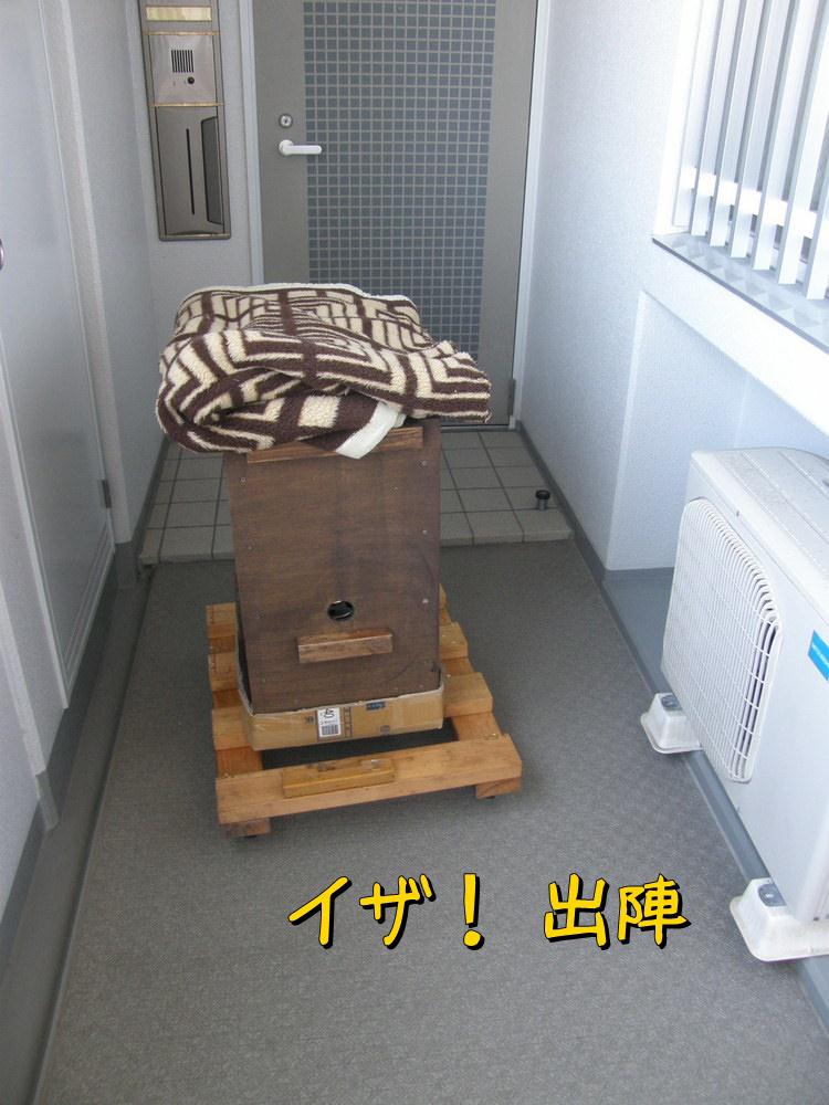 f:id:otypemako:20201125214604j:plain