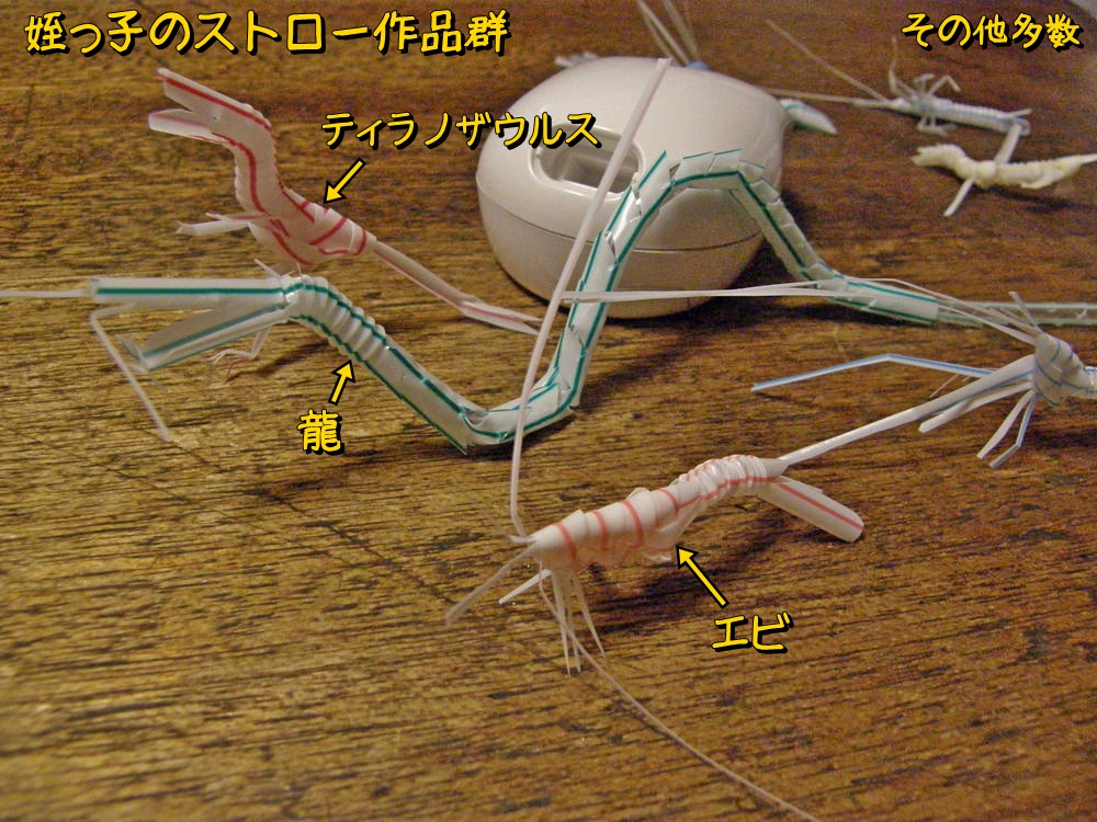 f:id:otypemako:20201205135106j:plain