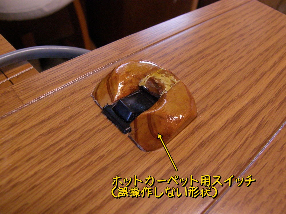 f:id:otypemako:20210103224541j:plain