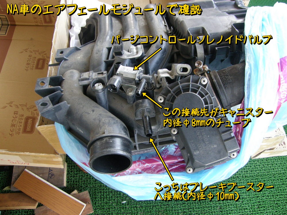 f:id:otypemako:20210218165118j:plain