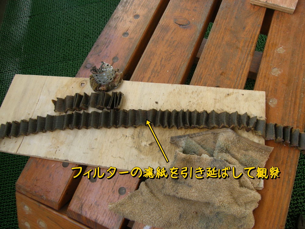 f:id:otypemako:20210423185945j:plain