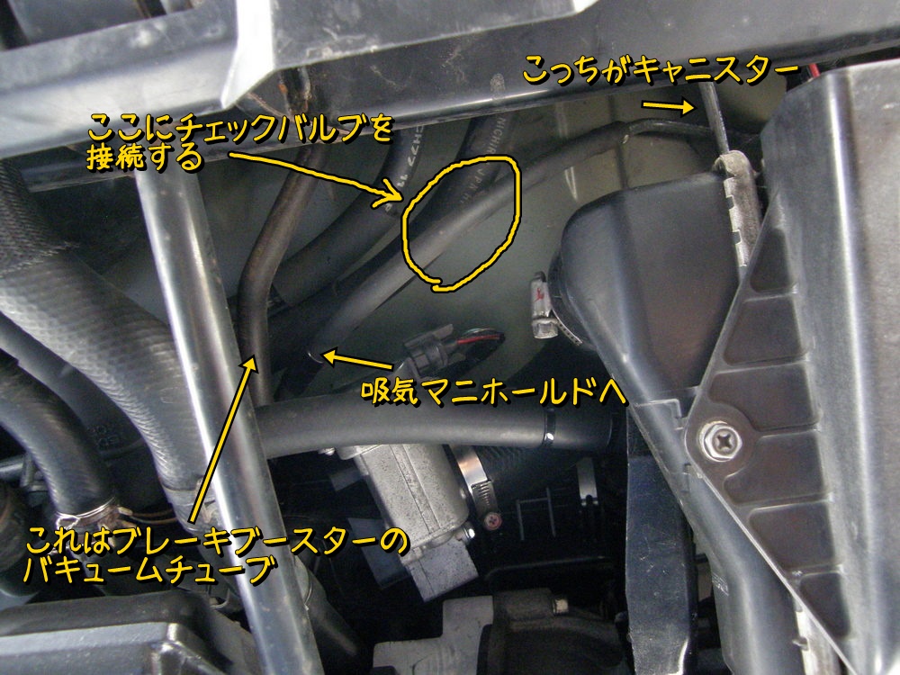 f:id:otypemako:20210428211341j:plain