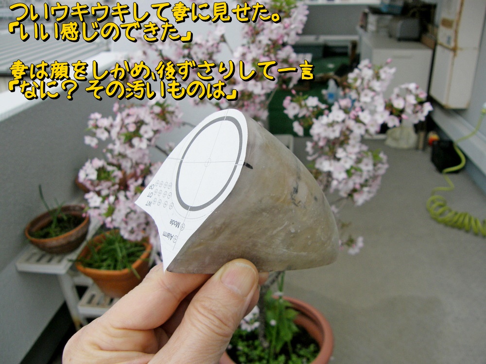 f:id:otypemako:20210514112038j:plain
