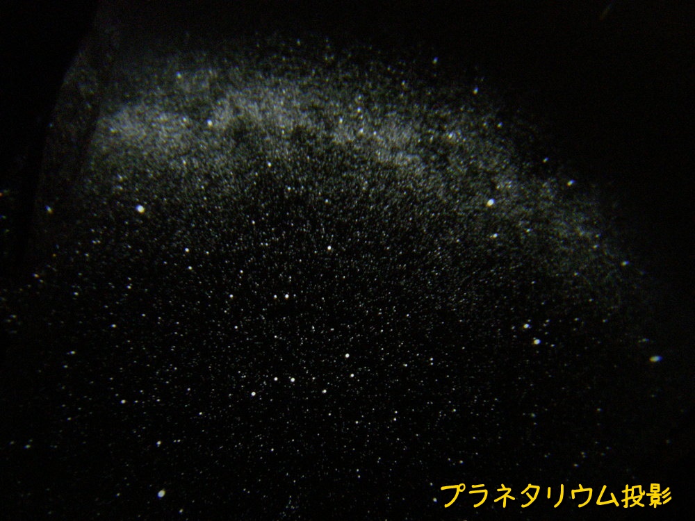 f:id:otypemako:20210606151741j:plain