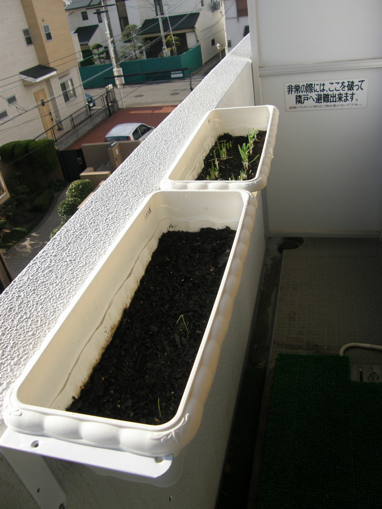 f:id:otypemako:20211203171736j:plain