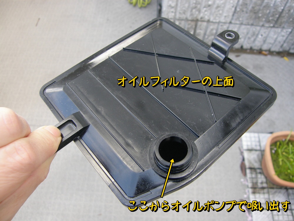 f:id:otypemako:20220416111730j:plain