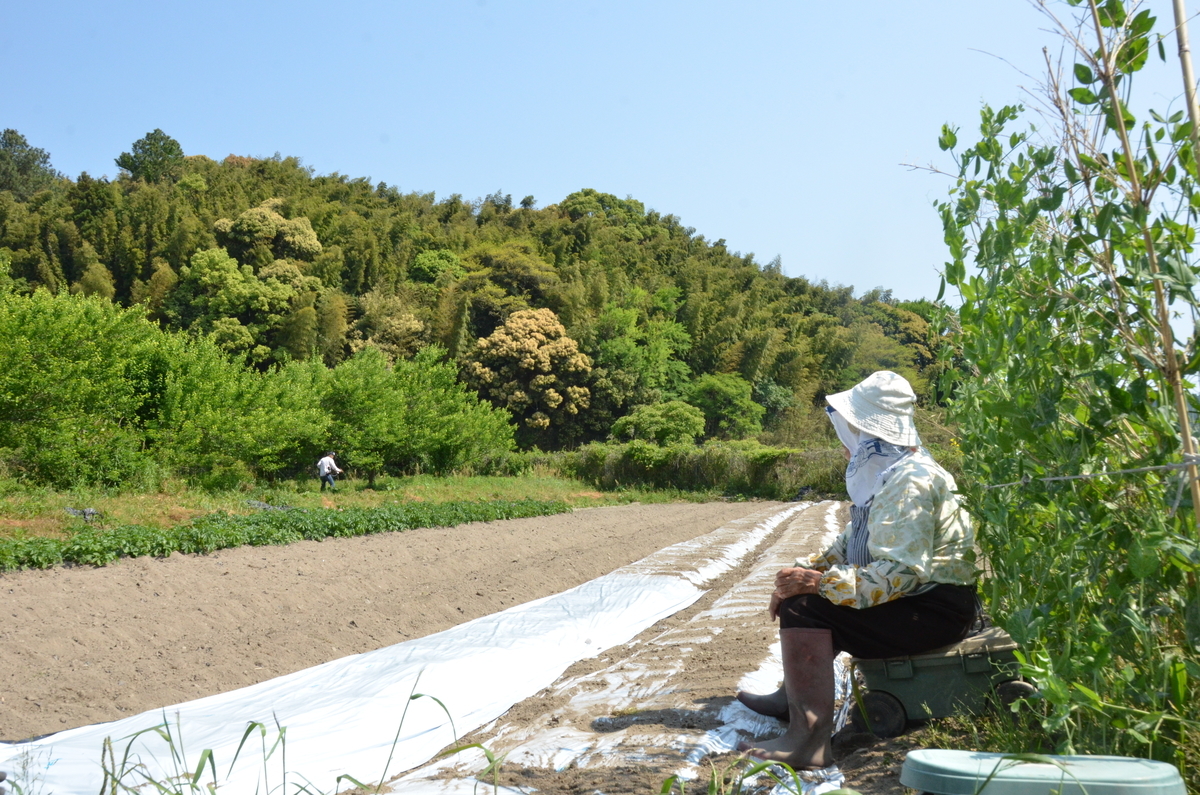 f:id:ouchi-no-necco:20190511230918j:plain