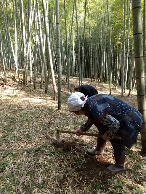 f:id:ouchi-no-necco:20200414213929j:plain f:id:ouchi-no-necco:20200414213929j:plain