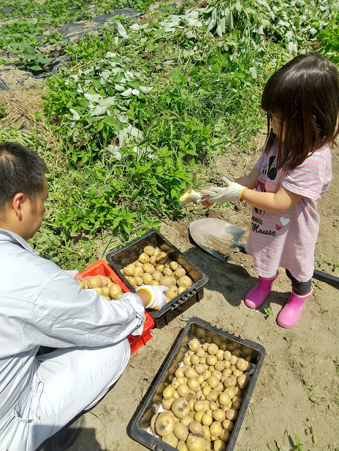 f:id:ouchi-no-necco:20200607204454j:plain