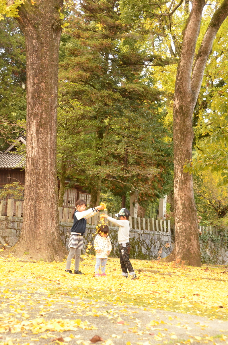 f:id:ouchi-no-necco:20200629221436j:plain f:id:ouchi-no-necco:20200629221436j:plain