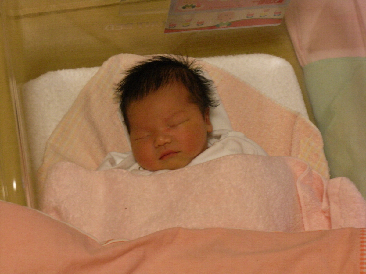 f:id:ouchi-no-necco:20200716215857j:plain