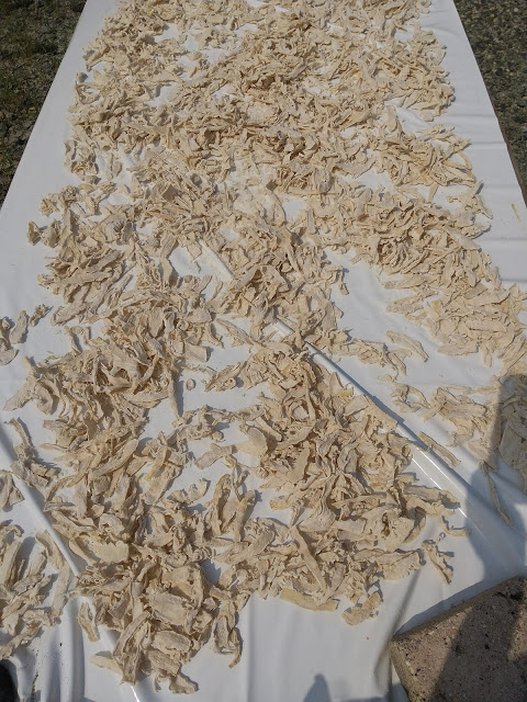 f:id:ouchi-no-necco:20200821204055j:plain f:id:ouchi-no-necco:20200821204055j:plain