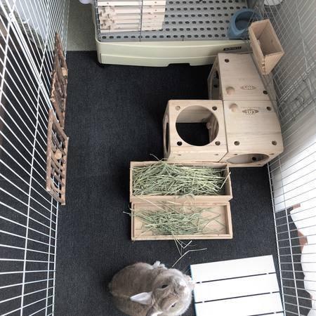 f:id:ouchibiyori:20190522130621j:plain f:id:ouchibiyori:20190522130621j:plain