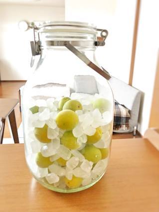 f:id:ouchibiyori:20190612111447j:plain f:id:ouchibiyori:20190612111447j:plain