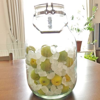 f:id:ouchibiyori:20190612111529j:plain f:id:ouchibiyori:20190612111529j:plain