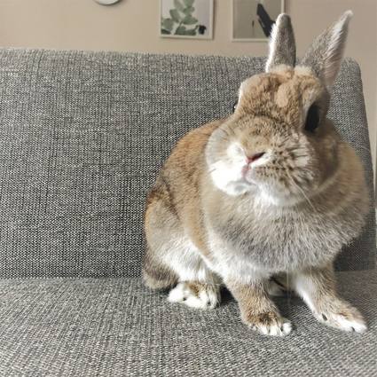 f:id:ouchibiyori:20190829170017j:plain