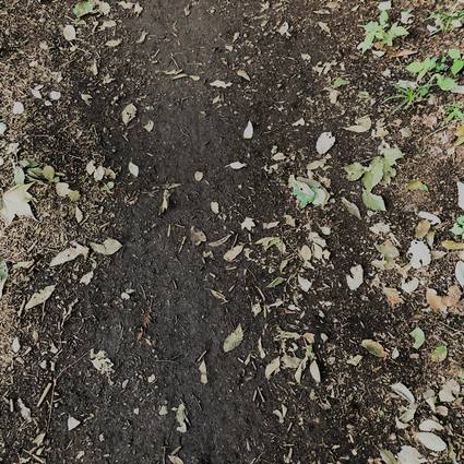 f:id:ouchibiyori:20190918185744j:plain