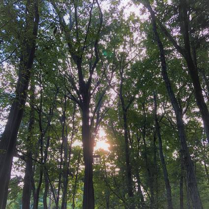 f:id:ouchibiyori:20190918193436j:plain