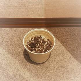 f:id:ouchibiyori:20191012181146j:plain f:id:ouchibiyori:20191012181146j:plain