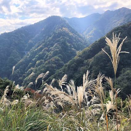 f:id:ouchibiyori:20191109171849j:plain