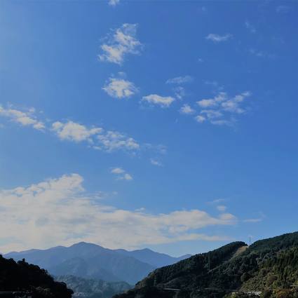 f:id:ouchibiyori:20191109171859j:plain