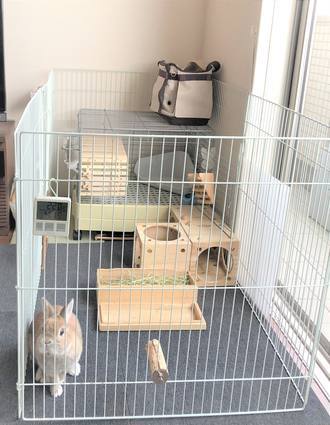 f:id:ouchibiyori:20191114201226j:plain