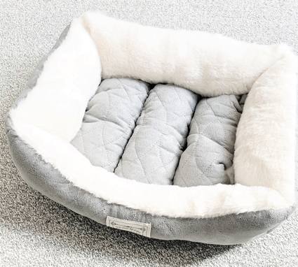 f:id:ouchibiyori:20191114201258j:plain