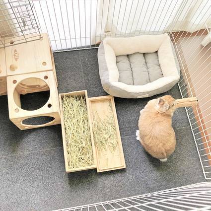 f:id:ouchibiyori:20191114201344j:plain