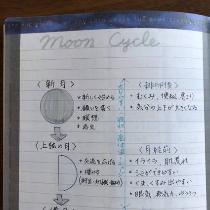 f:id:ouchibiyori:20191219203634j:plain