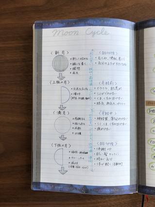 f:id:ouchibiyori:20191219203645j:plain