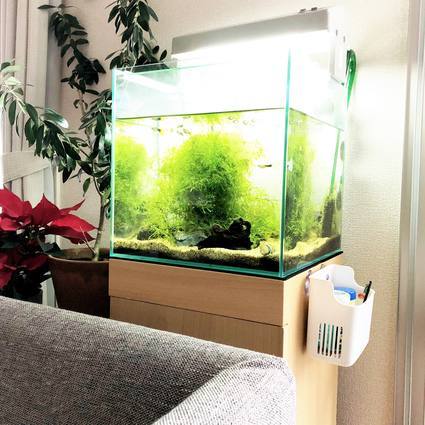 f:id:ouchibiyori:20191227195421j:plain