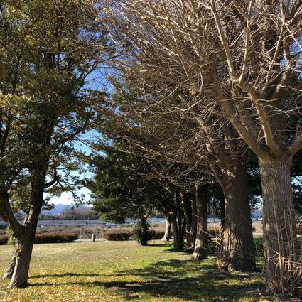 f:id:ouchibiyori:20200105211548j:plain