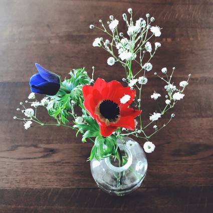 f:id:ouchibiyori:20200219201300j:plain