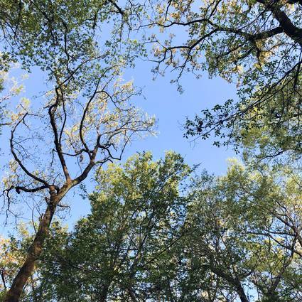 f:id:ouchibiyori:20200409185824j:plain