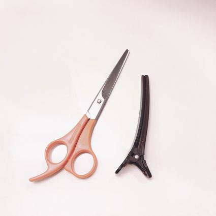 f:id:ouchibiyori:20200417190959j:plain f:id:ouchibiyori:20200417190959j:plain